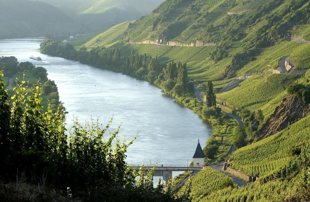 Wein & Gastehaus Hermeshof Hotel ทริทเท็นไฮม์ ภายนอก รูปภาพ