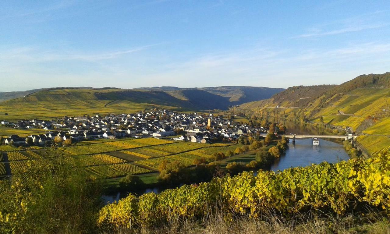 Wein & Gastehaus Hermeshof Hotel ทริทเท็นไฮม์ ภายนอก รูปภาพ