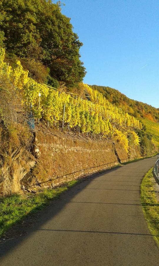 Wein & Gastehaus Hermeshof Hotel ทริทเท็นไฮม์ ภายนอก รูปภาพ